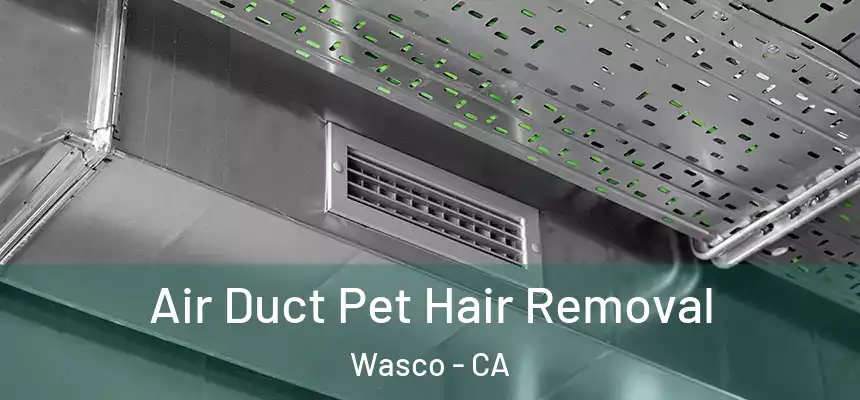 Air Duct Pet Hair Removal Wasco - CA
