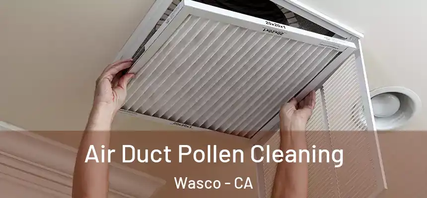 Air Duct Pollen Cleaning Wasco - CA