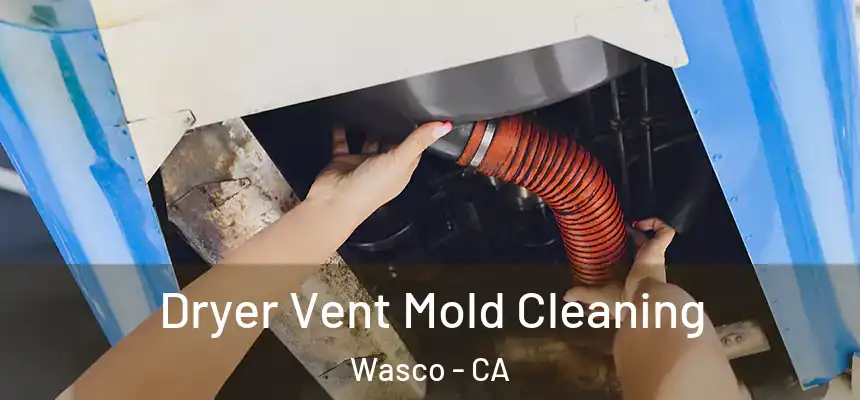 Dryer Vent Mold Cleaning Wasco - CA