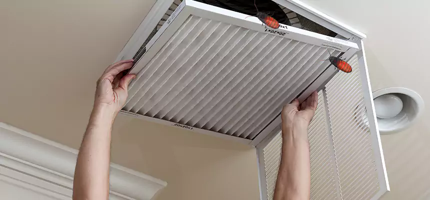 Preventive Cockroach-Proofing for Ducts in Wasco