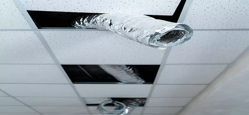 Affordable HVAC Sanitizing After Pest Removal in Wasco