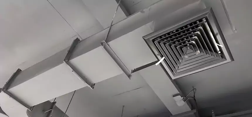 Restorative Allergy Relief Vent Cleaning – Coil, Blower & Housing Detail in Wasco