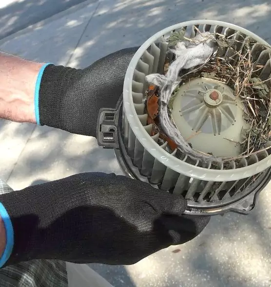 About Air Duct Mice Removal in Wasco, CA