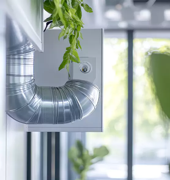 Professional Eco-Safe Dryer Vent Cleaning in Wasco, CA